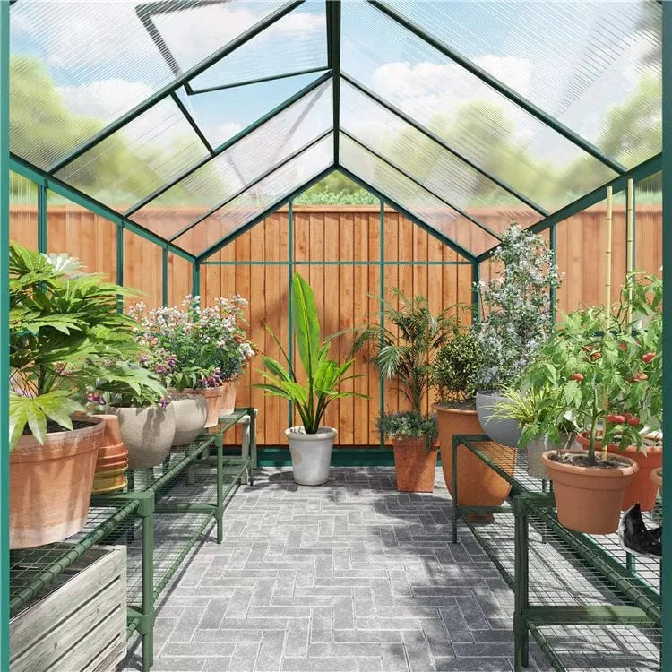 Rosette Hobby 6 x 10 Aluminium Greenhouse with Polycarbonate Glazing
