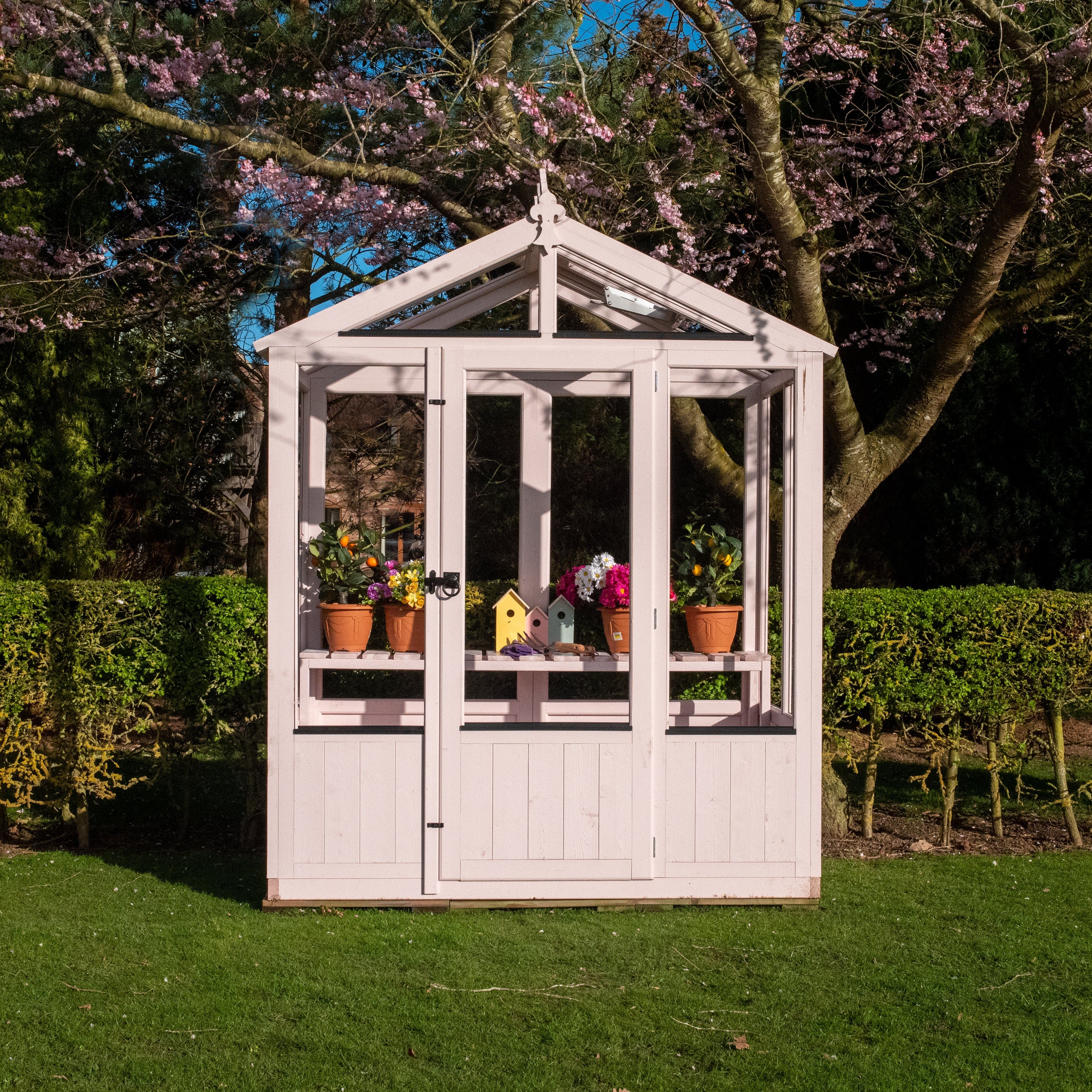 Shire Holkham 6 x 4 Wooden Greenhouse