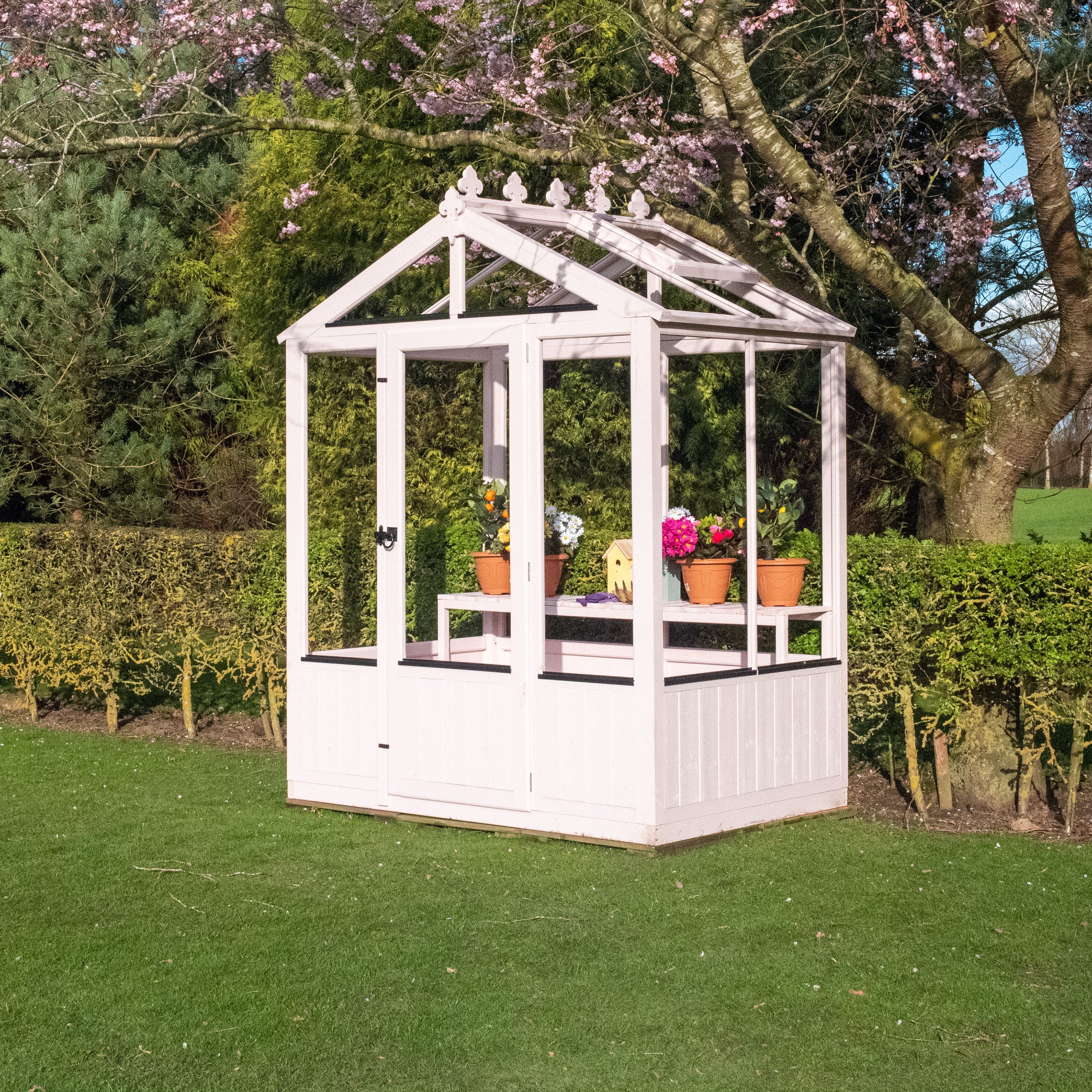 Shire Holkham 6 x 4 Wooden Greenhouse