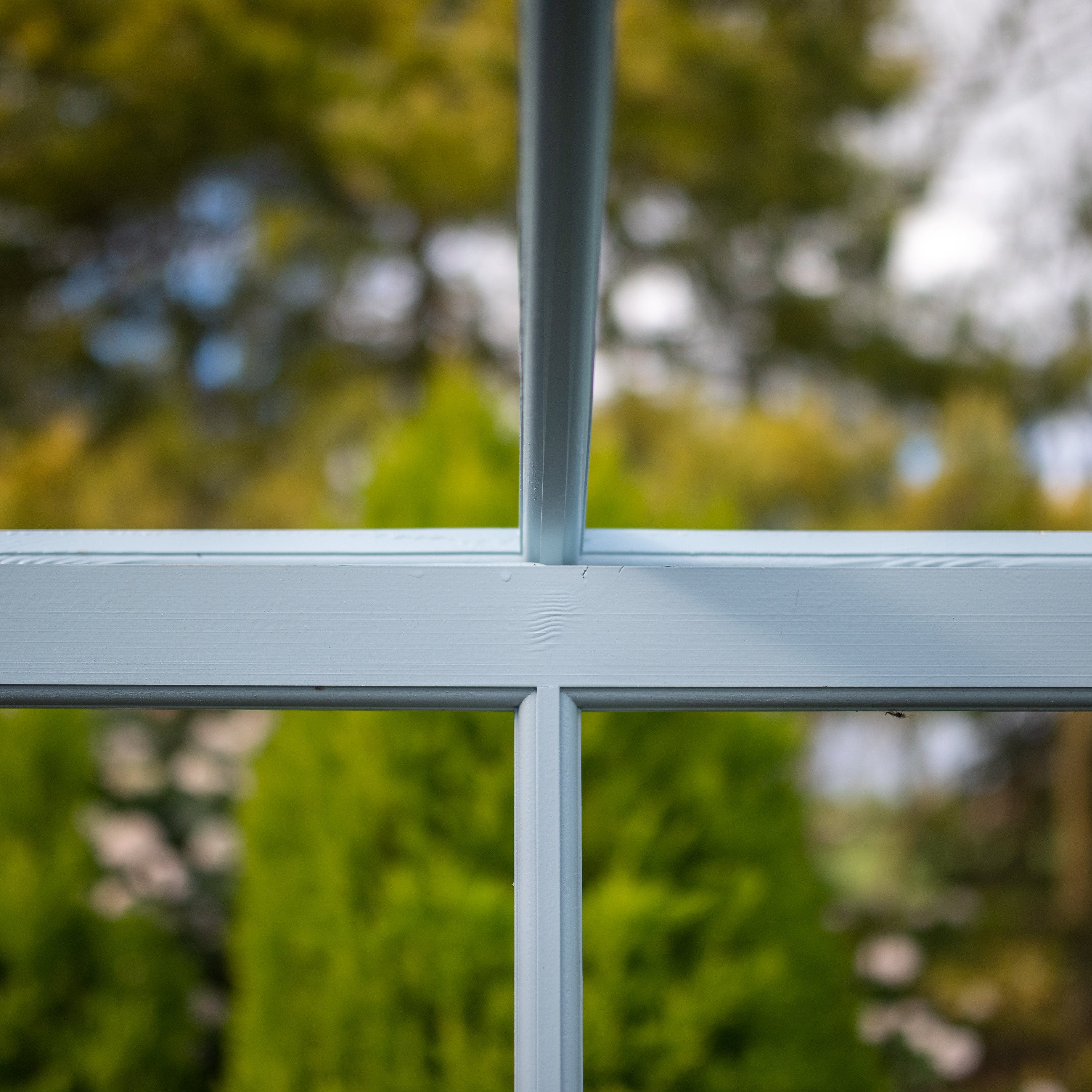 Shire Holkham 6 x 8 Wooden Greenhouse