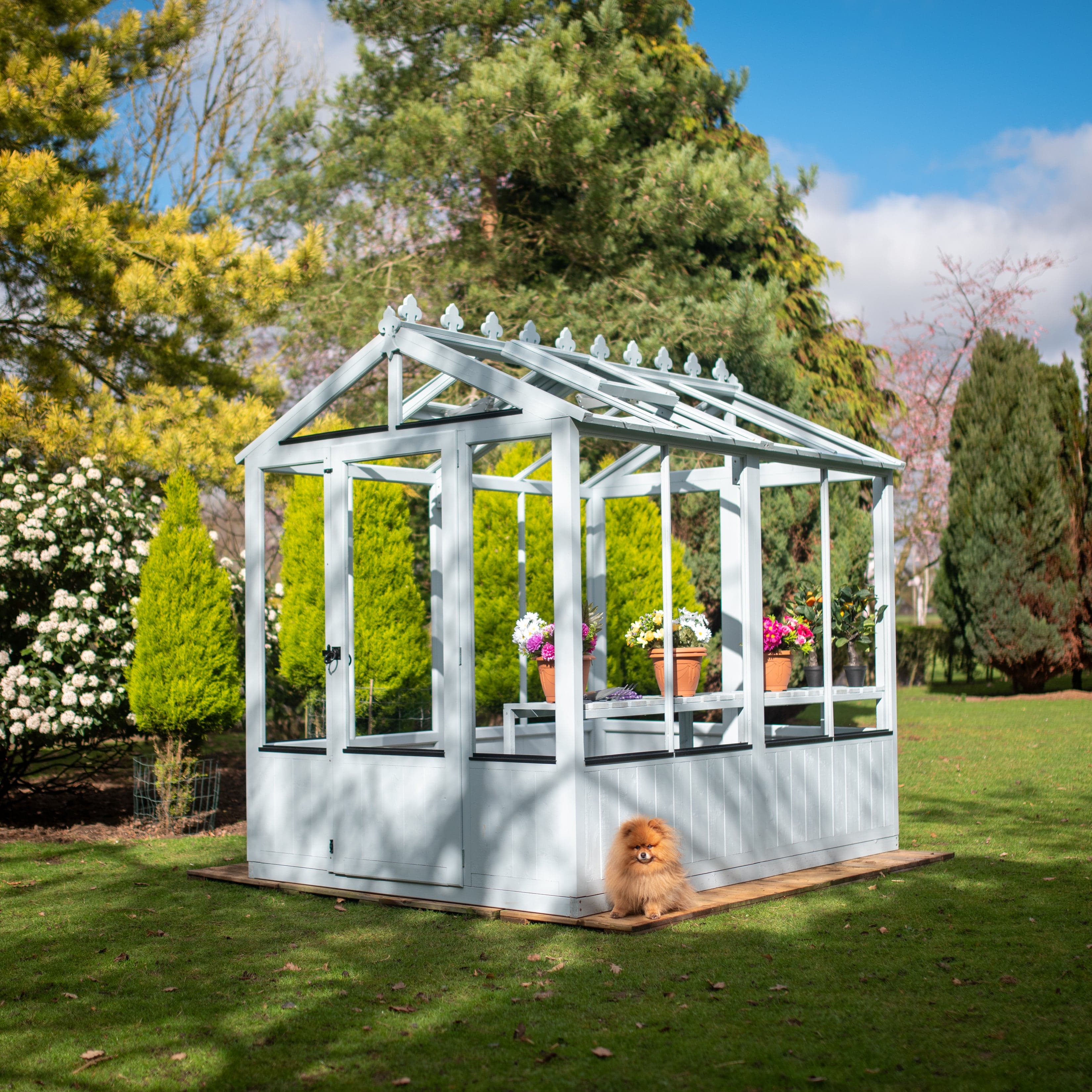 Shire Holkham 6 x 8 Wooden Greenhouse